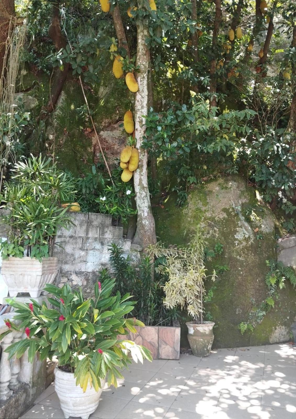 Casa Das Luzes Hostel Ivn Rio de Janeiro Bagian luar foto